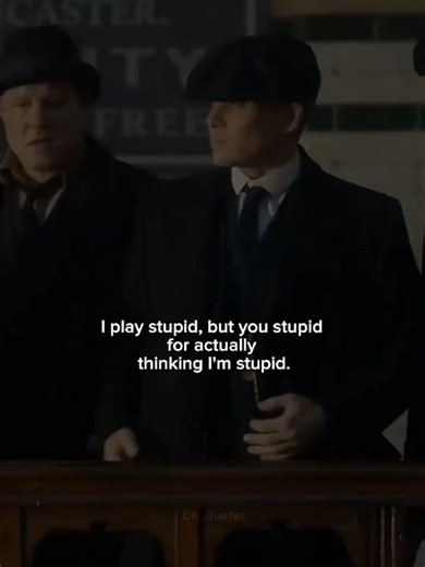 Stupid Quotes: Playfulness in Ignorance and Wit