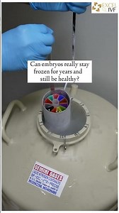 Can embryos really stay frozen for years and still be healthy? Dr Rhythm Gupta - IVF specialist