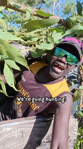 1.9M views · 28K reactions | Coming soon...  #firstnations #aboriginal #indigenous | Outback Boys | Facebook