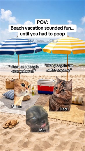 Meow Mories on Instagram: "Beach vacation sounded fun… until you had to poop #catmemes #catmemesdaily #relatable #relationship"