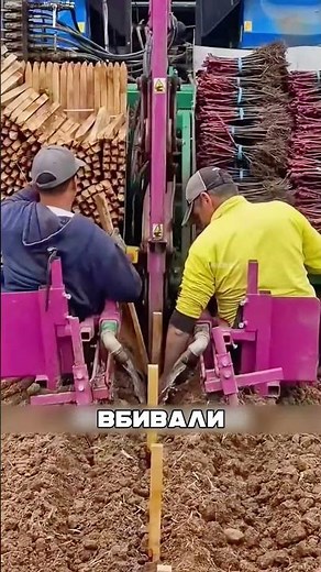 China Turned the Desert into a Miracle 😱🔥🌱