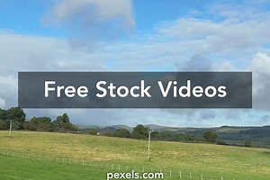 Sheep Cartoon Videos, Download The BEST Free 4k Stock Video Footage & Sheep Cartoon HD Video Clips