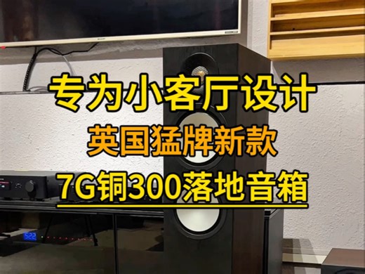 新款比老款更稳重，你们觉得如何？#音响发烧友 #发烧音响 #发烧hifi #音响