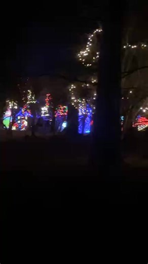 Epic Christmas Lights Display | Scott Valley News