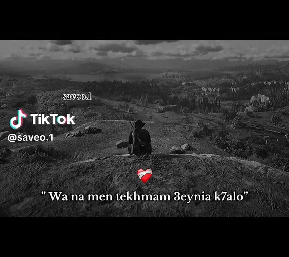 Cheb Lotfi 2024: A Musical Journey