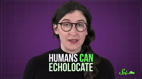 How some people echolocate like bats