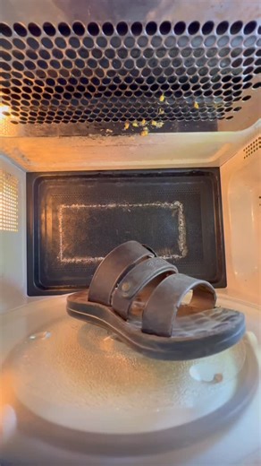 Microwave Heat on Instagram: "Microwave vs ?????? #experiment #science #microwave #satisfying #foryou"