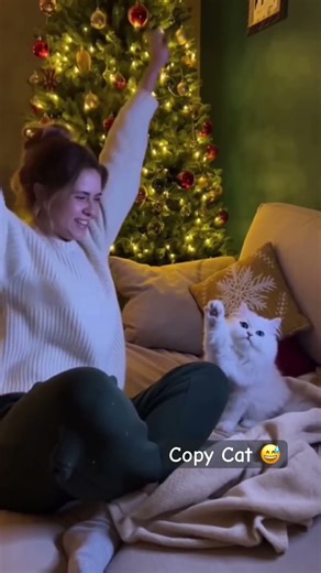 Copy Cat: If a cat mimics you, it means he loves you.