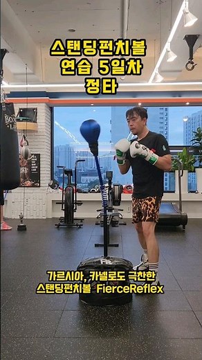 라이언 가르시아 코브라백 연습 5일차 #boxing #복싱 #가르시아코브라백