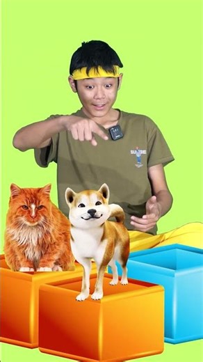 WOW color change toy cat dog animals #dog #cat