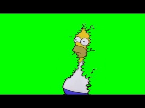 Homer disappears into bushes (GREENSCREEN)