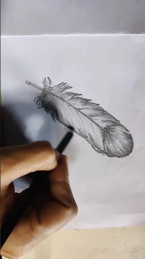 How to Draw a Realistic Feather | Pencil Drawing Tutorial for Beginners #pencildraw #pencil #