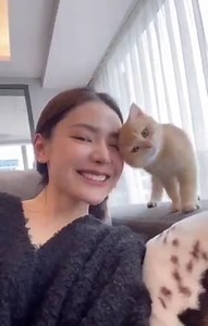 Cats Never Tire Of Being Carried Around | Statement Marine