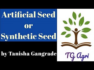 Artificial Seed | Synthetic Seed | Somatic Embryogenesis | कृत्रिम बीज | मानव निर्मित बीज