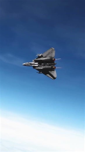 F-14 Tomcat destroyed 💥the target with an AIM-9 Sidewinder #shorts #ytshorts #dcs #aviation