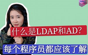 什么是LDAP和AD活动目录？为什么说每个程序员都应该了解LDAP/AD？
