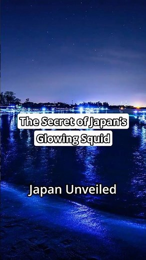 The Secret of Japan’s Glowing Squid: A Bioluminescent Wonderland