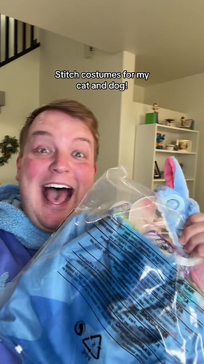Stitch Pet Costumes for Dogs and Cats: Disney Inspired Outfits