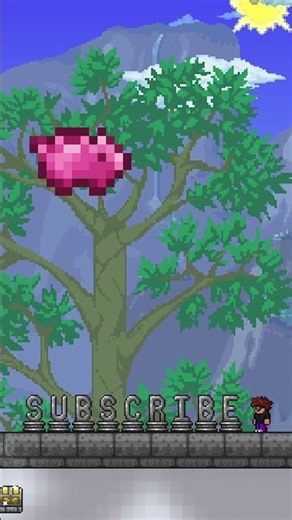 MAXIMUM Inventory Space in Terraria!