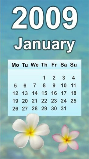 January 2009 Calendar