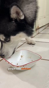 2.1M views · 10K reactions | Un pelaje más brillante y suave empieza desde adentro✨ . Aliméntalo con Pet’s Table® y comprueba los beneficios | Pets Table | Facebook