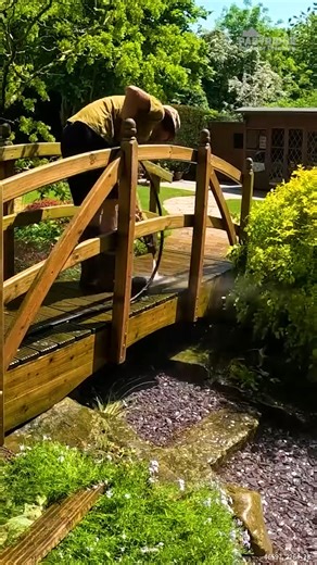 Cleaning the GREENEST Bridge #bridge #walkingbridge #exteriorclean | Partridge Exterior Cleaning