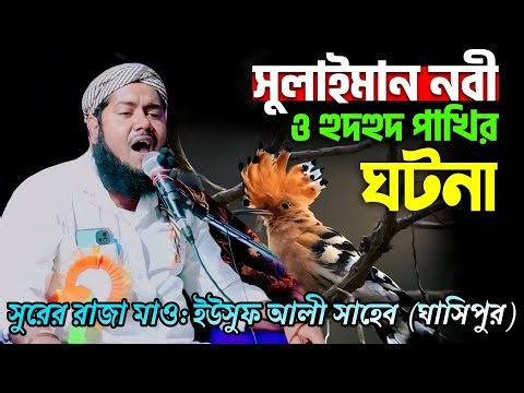 হজরত সুলাইমান ও হুদহুদ পাখির ঘটনা| মাওলানা ইউসুফ আলী সাহেবের ওয়াজ| Maulana Yusuf Ali Saheb Jalsa...