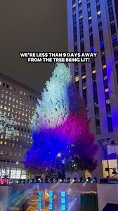 639K views · 10K reactions | The Rockefeller Center tree lighting ceremony is free and open to the public! Going down on December 3rd  #nycholidays #nycchristmas #rockefellerchristmastree #rockefellercenter #travelnyc #newyorkchristmas #newyorkholiday #christmastreelighting #christmasinnyc #nycbucketlist | Picture Perfect Luis | Facebook