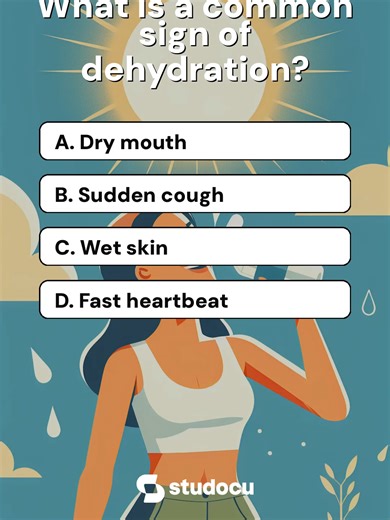 Studocu Labs on TikTok