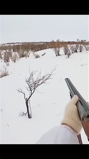 🐇 Extreme Cold Rabbit Hunt in Snow#Winter Rabbit Hunting#Extreme Cold Hunting#Winter Hunting Trip