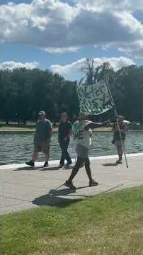 What appear to be algae supporters are marching down the Lincoln Memorial Reflecting Pool