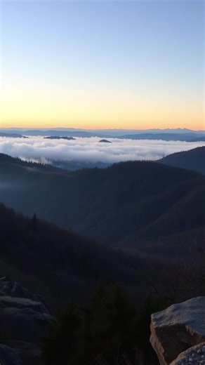 The Hidden Divide of Appalachia: North vs South The Appalachian divide nobody talks about is not simply geographic — it’s about visibility, power, and narrative control. Northern Appalachia experienced earlier industrialization, documentation, and migration opportunities, while Southern Appalachia faced prolonged extraction and blame. This hidden divide explains why Appalachia was never treated as one region or one story. the Appalachian divide hidden Appalachian history North vs South Appalachi