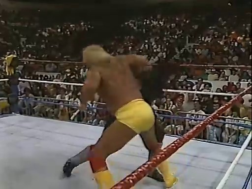 Hulk Hogan vs. Undertaker for the WWF Title