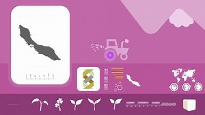 country in animation