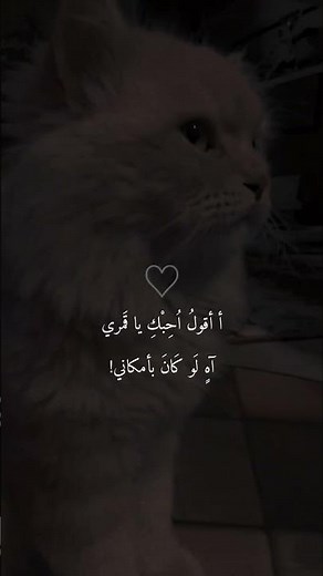 ااقول احبك يا قمري؟ #نذار_قباني #الزمن الجميل #اكسبلور #الجزائر #moroc #arabicsinger