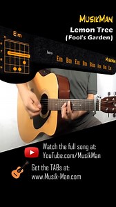 11K views · 150 reactions | #MusikMan - LEMON TREE  - Guitar Cover / #LemonTree #FoolsGarden #90s #GuitarPlayer #GuitarLesson #GuitarTutorial #Guitar #Cover #GuitarCover : https://youtu.be/_hk3cZqEf30 | MusikMan | Facebook