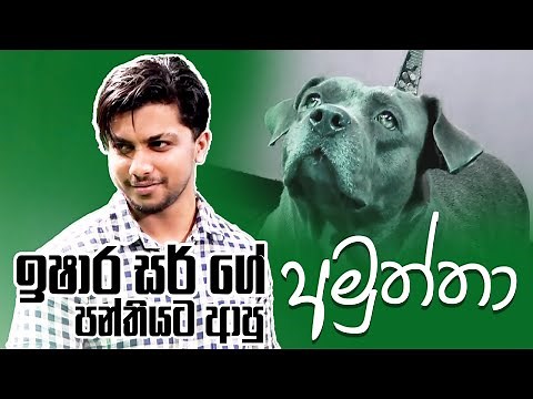 ඉෂාර සර් ගේ පන්තියට ආපු අමුත්තා | Maths Online Classes