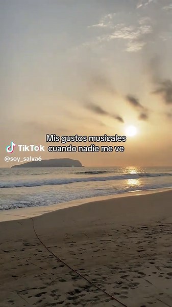 Mis gustos musicales cuando nadie me ve