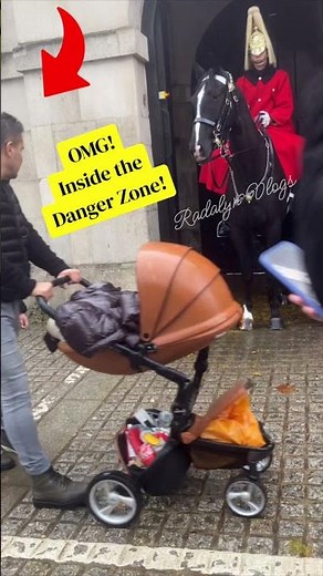 OMG! Too Close to the Royal Guard Horse | Tourist Steps Into Danger Zone at Buckingham Palace 2025