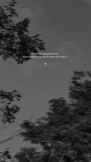 Shenuu Quotes That Touch the Heart