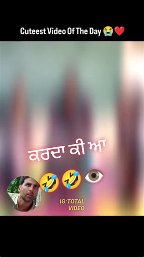 Understanding Love with Teacher: Emotional Insights