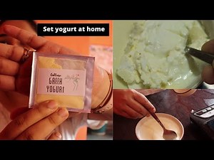 How to make Greek yogurt at home using starter culture | Easy and simple steps