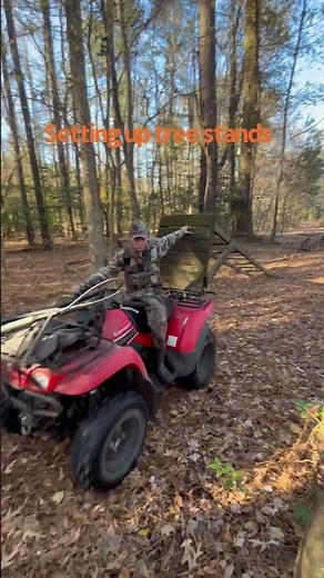 Setting up tree stands #deerhunting #tree stand