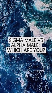 26K views · 146 reactions | Sigma Male vs Alpha Male: Which Are...