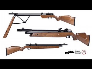 New Airguns 2022 Shot Show (Air Venturi Dragonfly Mk2) Multi Pump .177 and .22 with New Features!