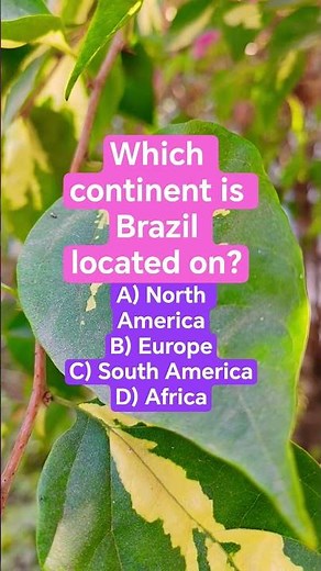 Which continent is Brazil located on?
