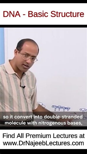 DNA Basic Structure #drnajeeb #drnajeeblectures #shortvideo #youtubeshorts