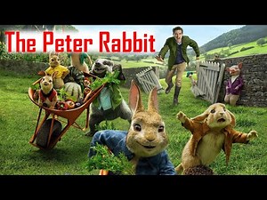the peter rabbit movie summary