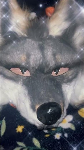 Gary fox mask 🦊‼️ #fypシ #diycosplay #animalmask #craft #maskmaking #artandcraft #catmask #foxmask