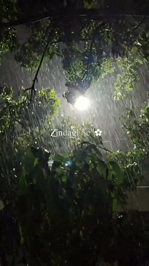 Beauty of rain|| Plz support me 🙏#Rain #viral #for_you